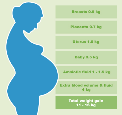 Excess Weight Gain In Third Trimester